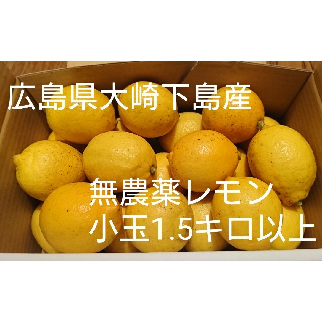 【小玉】無農薬！広島県大崎下島産 特別栽培レモン 1.5キロ 食品/飲料/酒の食品(フルーツ)の商品写真