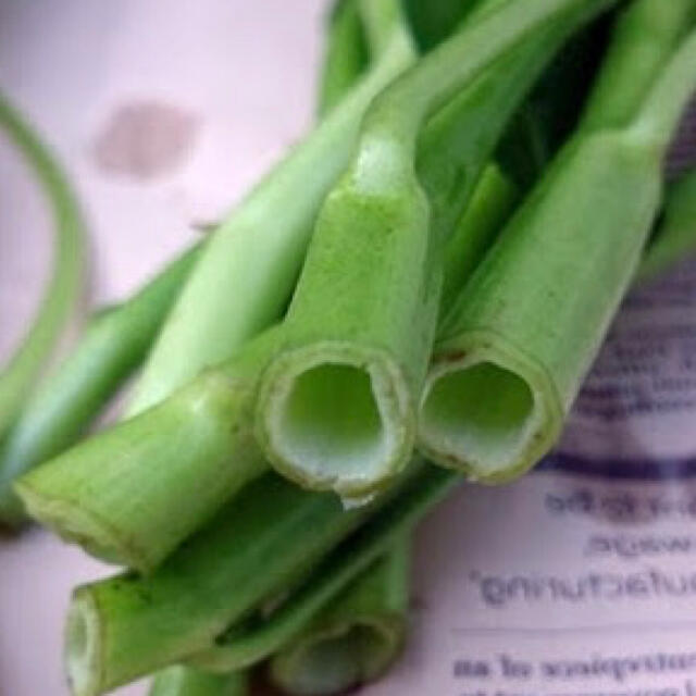 【アジア野菜の定番‼️】オマケ付 空芯菜の種 5ml エンツァイ 野菜 空心菜 食品/飲料/酒の食品(野菜)の商品写真