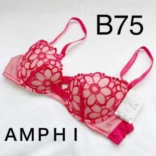 アンフィ(AMPHI)のワコール アンフィ ブラ B75(ブラ)