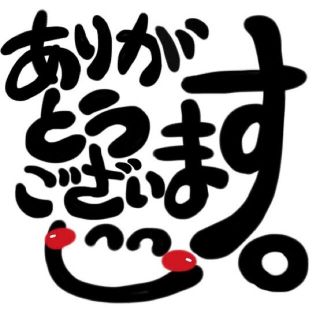 H.H様 専用(その他)