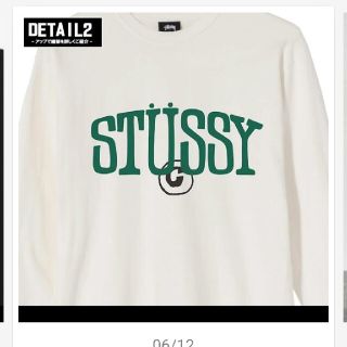 ステューシー(STUSSY)のSTUSSY ロンT M未使用品(Tシャツ/カットソー(七分/長袖))