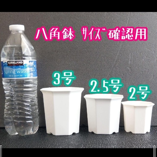 八角鉢 ◎20個◎ 2号 2寸 ホワイト プラ鉢 シャトル鉢 ハンドメイドのフラワー/ガーデン(その他)の商品写真