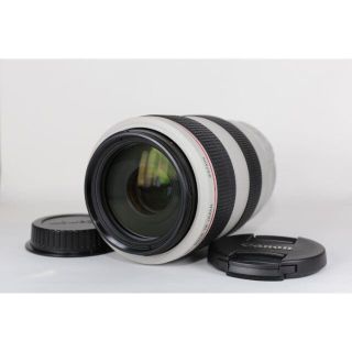 純正超望遠レンズ○手ブレ補正○ニコン AF-S 55-300mm VR 独創的 www