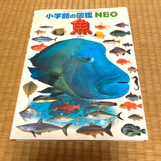 ショウガクカン(小学館)の小学館の図鑑 NEO 魚(絵本/児童書)