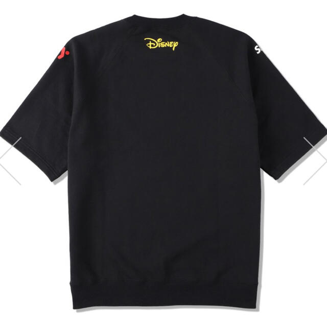 DISNEY × EY × WDS COLLAB Q/S ウィンダンシー L