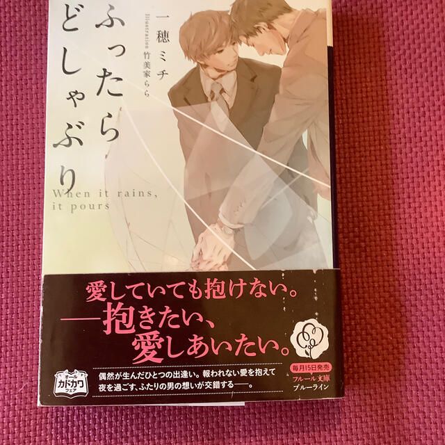 角川書店(カドカワショテン)の「ふったらどしゃぶり」一穂ミチ エンタメ/ホビーの本(文学/小説)の商品写真