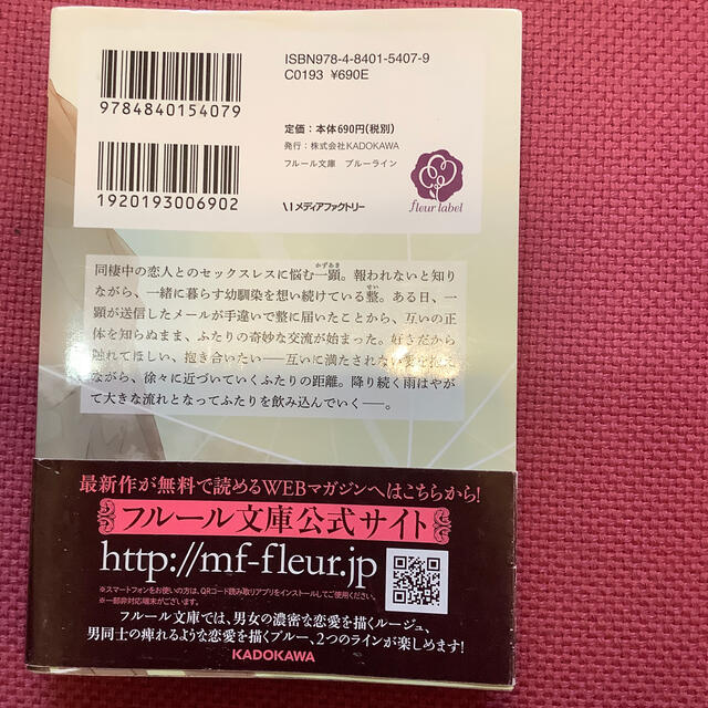 角川書店(カドカワショテン)の「ふったらどしゃぶり」一穂ミチ エンタメ/ホビーの本(文学/小説)の商品写真