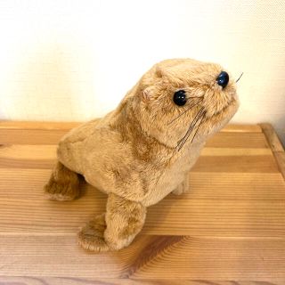 アシカ　ぬいぐるみ(ぬいぐるみ)