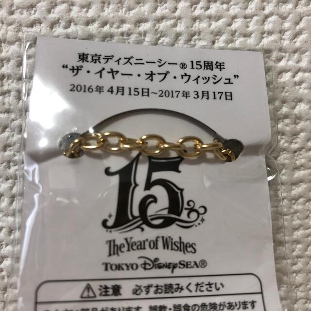 Disney(ディズニー)のディズニーシー15周年 チャーム エンタメ/ホビーのおもちゃ/ぬいぐるみ(キャラクターグッズ)の商品写真