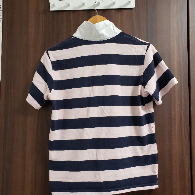 CANTERBURY(カンタベリー)のカンタベリー　ジュニア160 半袖ポロシャツ キッズ/ベビー/マタニティのキッズ服男の子用(90cm~)(Tシャツ/カットソー)の商品写真