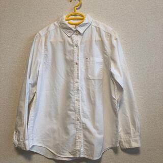 サンバレー(SUNVALLEY)のSUN VALLEY ホワイトシャツ(シャツ/ブラウス(長袖/七分))