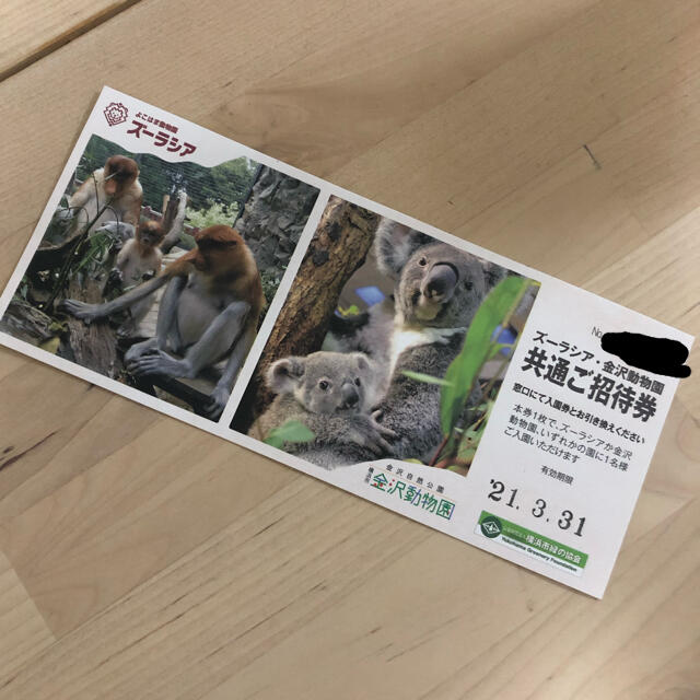 しろは様 専用！ チケットの施設利用券(動物園)の商品写真