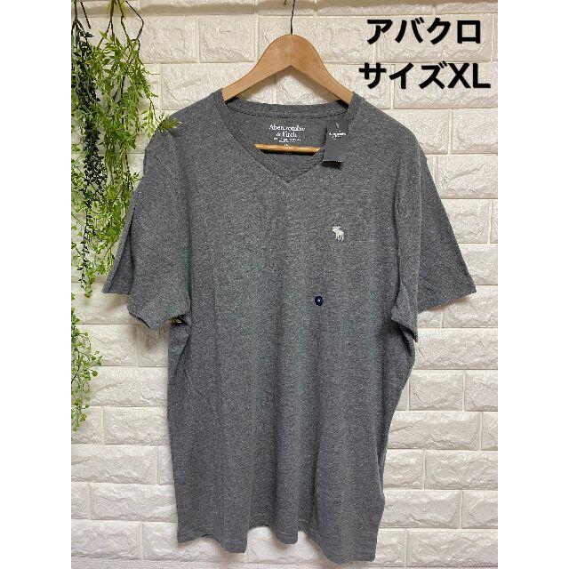 Abercrombie&Fitch(アバクロンビーアンドフィッチ)の004【新品】アバクロ　Tシャツ　Abercrombie & Fitch メンズのトップス(Tシャツ/カットソー(半袖/袖なし))の商品写真