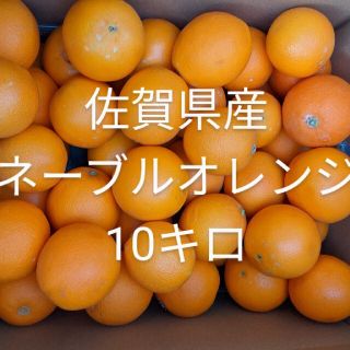 ネーブルオレンジ10キロ(フルーツ)