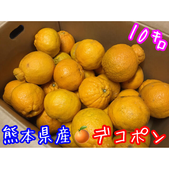 熊本県産 不知火✴︎デコポン 箱込約10㌔ 食品/飲料/酒の食品(フルーツ)の商品写真