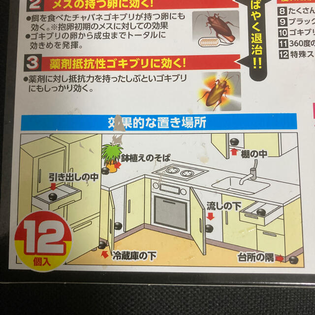 アース製薬(アースセイヤク)のアース　ブラックキャップ　12個入り インテリア/住まい/日用品の日用品/生活雑貨/旅行(日用品/生活雑貨)の商品写真