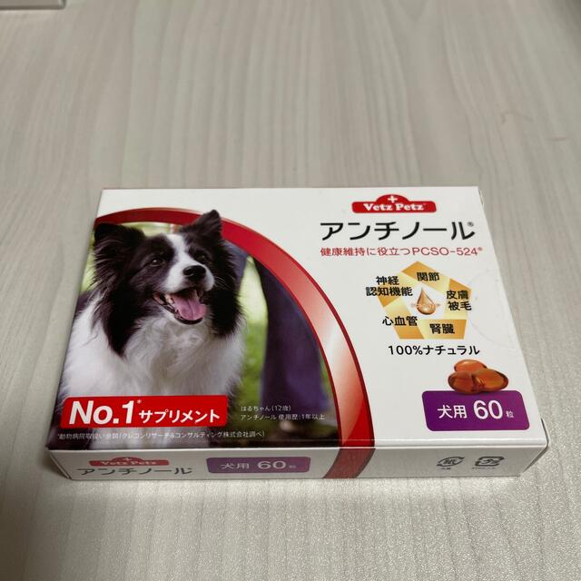 Vetz Petz  アンチノール犬用60粒