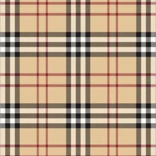 バーバリー(BURBERRY)の♡KT様専用♡(シャツ/ブラウス(長袖/七分))