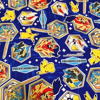 ポケモン 生地 糸の通販 300点以上 ポケモンのハンドメイドを買うならラクマ ポケモン 生地 糸の通販 300点以上 ポケモンのハンドメイドを買うならラクマ
