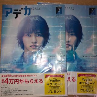 アデカ 2021年3月 2冊セット 「夏の扉 キミのいる未来へ」 山崎賢人(印刷物)