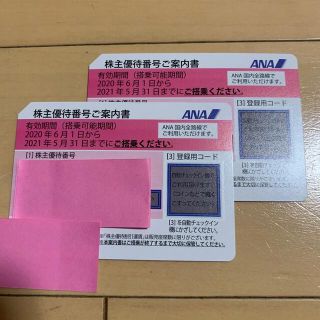 ANA 株主優待券　2枚セット(その他)