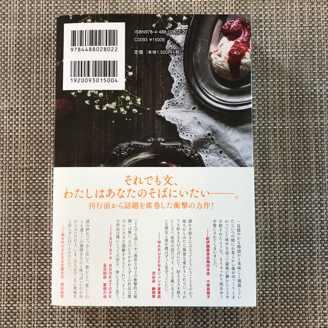 流浪の月 エンタメ/ホビーの本(文学/小説)の商品写真