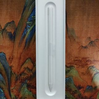 apple pencil 2(PC周辺機器)