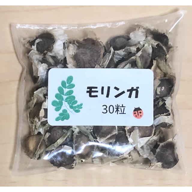 【モリンガ】奇跡の木 モリンガの種30粒 ハーブ タネ 美容健康 モリンガ 種子 食品/飲料/酒の食品(野菜)の商品写真