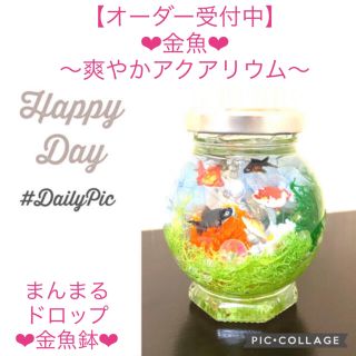 【金魚】〜❄︎春の爽やかアクアリウム❄︎〜まんまるドーム型金魚鉢♡(プリザーブドフラワー)