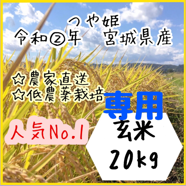 ☆専用品【農家直送】宮城県産つや姫　玄米20kg【送料無料】食品/飲料/酒