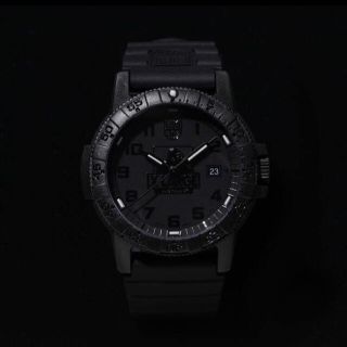 Luminox - 日本限定50本! XLARGE × LUMINOX コラボ シータートル