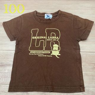 ラブラドールリトリーバー(Labrador Retriever)の【お値下げ！】100 Labra Puppy Tシャツ(Tシャツ/カットソー)