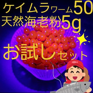 ケイムラ　いくらルアー　ルアー　ワーム　アジ　メバル　カサゴ　穴釣り　ニジマス(ルアー用品)