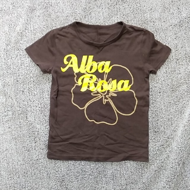 ALBA ROSA(アルバローザ)のアルバローザ　Tシャツ レディースのトップス(Tシャツ(半袖/袖なし))の商品写真