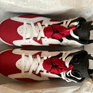 ナイキ(NIKE)のNIKE AIR JORDAN 6 CARMINE(スニーカー)