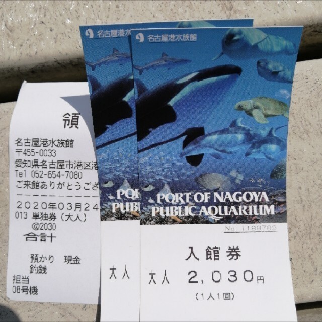 施設利用券名古屋港水族館 大人チケット4枚セット - 水族館