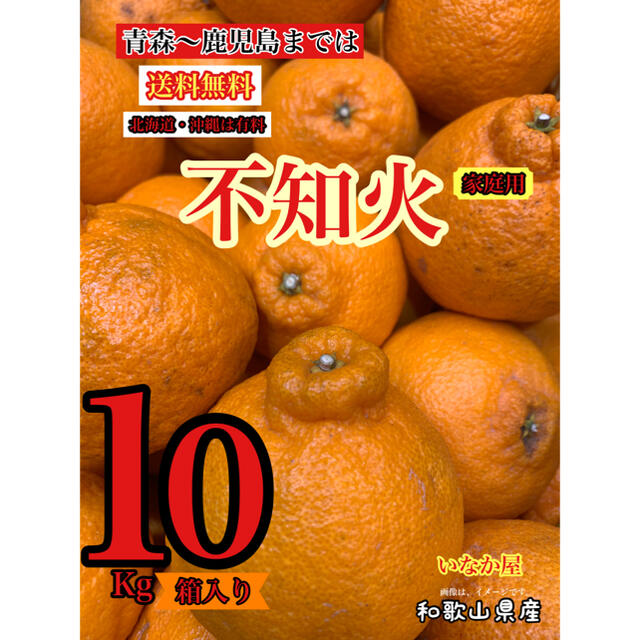 和歌山　有田　不知火　家庭用　セール　早い者勝ち　残り1点 食品/飲料/酒の食品(フルーツ)の商品写真