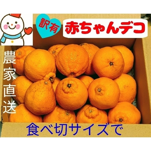 赤ちゃんデコ♥家庭用訳有♥和歌山雪だるま農家直送 食品/飲料/酒の食品(フルーツ)の商品写真