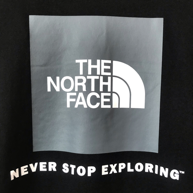 THE NORTH FACE(ザノースフェイス)のTOSHIさん専用 ☆ ノースフェイス BOX NSE ロンT 黒 グレ 3XL メンズのトップス(Tシャツ/カットソー(七分/長袖))の商品写真