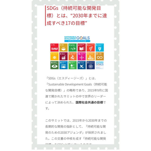 国連SDGsバッジ 強力マグネット式の通販 by おすぎ's shop｜ラクマ