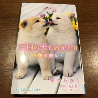 天国の犬ものがたり 僕の魔法(絵本/児童書)