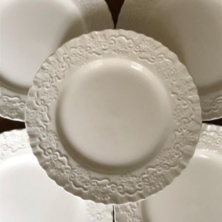 ウェッジウッド コラボ 食器の通販 52点 | WEDGWOODのインテリア