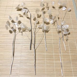 ドライフラワー ルナリア 茎付き 枝付き インテリア 花材(ドライフラワー)