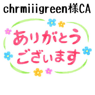 ⭐️4.chrmiiigreen様専用⭐️CA、9苗、同梱❣️韓国多肉植物❣️(その他)