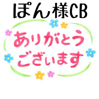 ⭐️9.ぽん様専用⭐️ CB、9苗セット、同梱❣️韓国多肉植物❣️(その他)