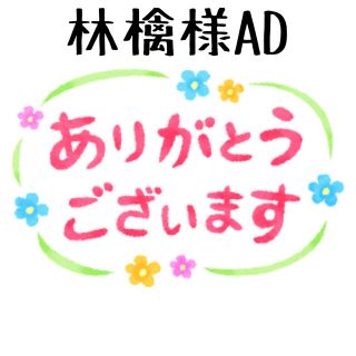 ⭐️26.林檎様専用⭐️AD、9苗セット、同梱❣️韓国多肉植物❣️(その他)