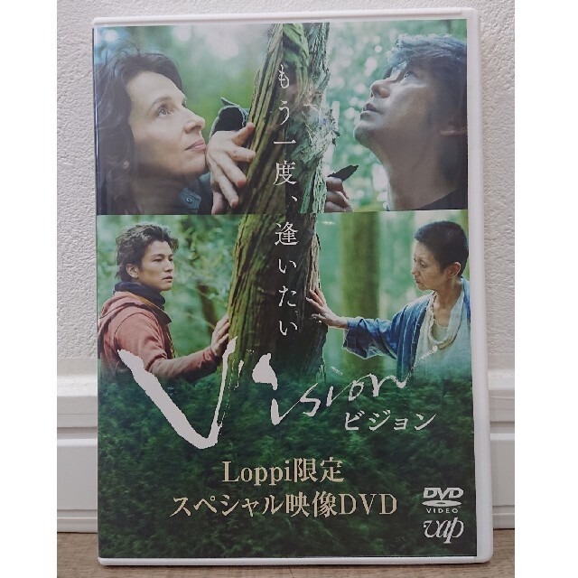 映画 vision Loppi限定スペシャル映像DVD 岩田剛典 エンタメ/ホビーのDVD/ブルーレイ(日本映画)の商品写真