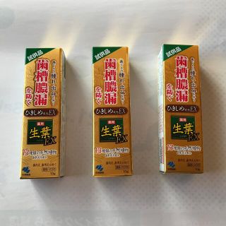 コバヤシセイヤク(小林製薬)の値下げしました！！　生葉　試供品　１０g X ３　小林製薬(歯磨き粉)