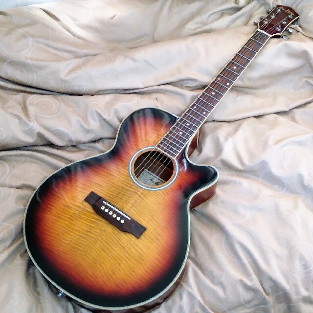 Pro Martin CUSTOM EA-500W VS エレアコ ギター Pro Martin CUSTOM EA-500W VS エレアコ ギター