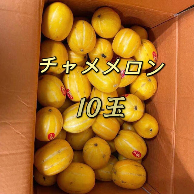 チャメメロン　20玉 食品/飲料/酒の食品(フルーツ)の商品写真